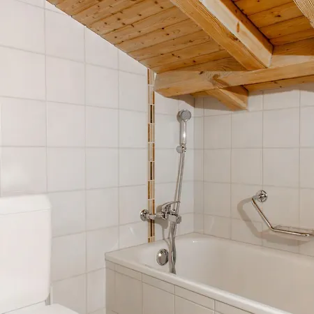 Bietschorn 22 By Interhome Nendaz